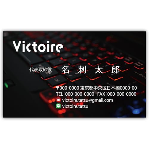 h쐬 h i 100 Ж tJ[ P[Xt No.0381