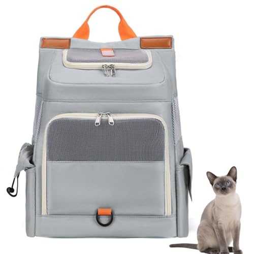 LifetipsTCA~[Y VL SiameseybgbN L[ ʋCbV J[et y ˃e[v яoh~ h  @\ bN^ybgL[ ^ ^ L s ʉ@ ] d [|Pbgt ܂