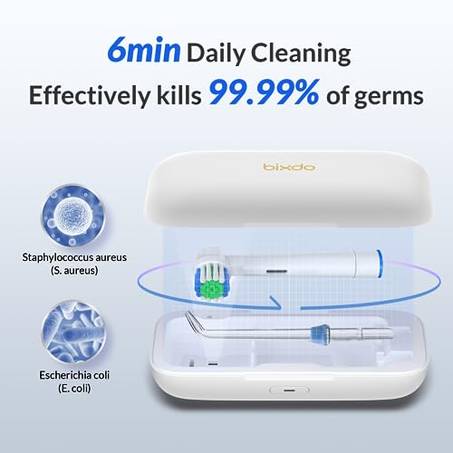 universal uv sanitizer portable sterilizer for electric toothbrush heads amp water flosser tips fits 2 picks of any size travel toothbrush sanitizer case