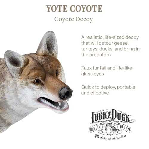 image for Lucky Duck Yote Coyote Decoy, brown, Single Pack