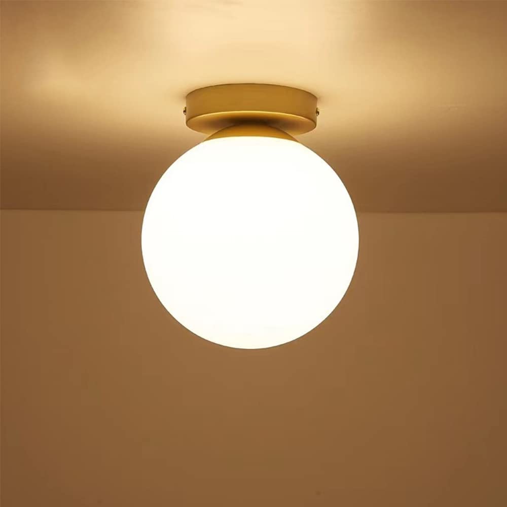 Mengjay Modern Glass Globe Ceiling Lamp Shade,Vintage Edison Semi Flush Mount Ceiling Light LED Lamp Fixture,Metal Ceiling Pendant Light Indoor Lighting Fixture (Big)