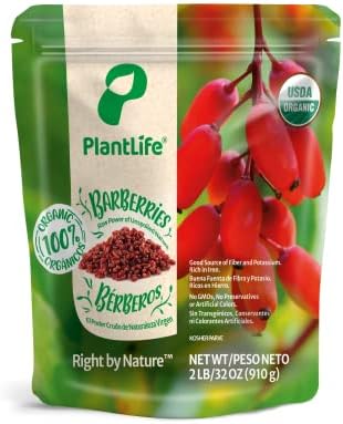 Barberries Dried Barberries Organic Dry Berry Heathy Snack - Canada