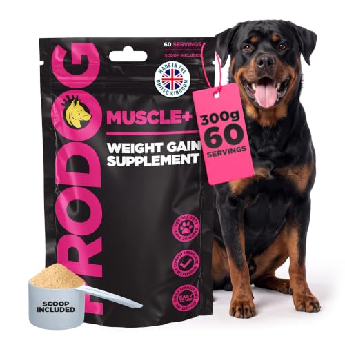 How can i treat my dogs sore ears