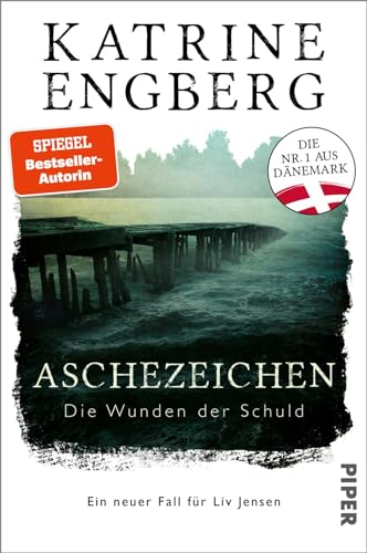 Cover zum Buch Aschezeichen