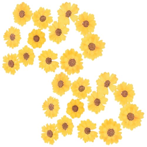 24 piezas de flores secas para manualidades y decoración miniatura 1