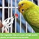 SGERUFZ 8 Stück Kunststoff-Vogelkäfig Feeder Clip, Papageien-Obst Gemüse-Clips, Vogelkäfig Zubehör für Wellensittiche, Sittiche, Kakadu, Aras, Nymphensittiche