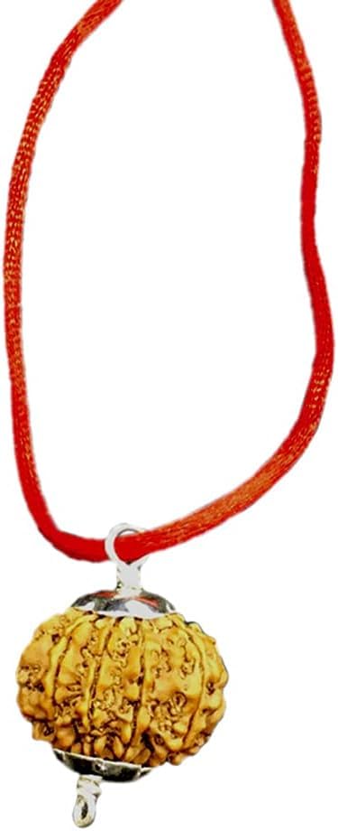 Rudraksha 9 Mukhi du Népal contre le manque d'ancrage perle bois et argent 22mm