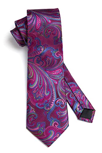 Image of HISDERN Ties for Men Paisley Tie and Pocket Square Woven Classic Floral Mens Ties Handkerchief Set Wedding Party Necktie