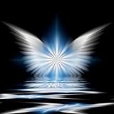 8948873 Records DK