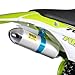 50cc 2-Stroke Kids Dirt Bike, Gas Power Motocross, Off Road Mini Motorcycle, Children Pocket Motorbike with Front Rear Disc Brakes，Up to 30KM/H Trail Bike (Green)