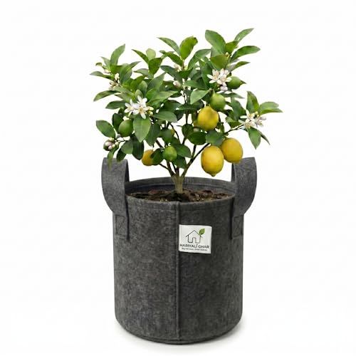 Image of 400 GSM Geo Fabric Round Grow Bags 9x9 Inch with Handle, Dark Grey Planting Bags for Terrace and Kitchen Gardening Pack of 1