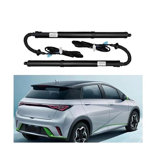 2021-2025NByd Dolphinpde[Q[g hAZT[e[Q[g J[ANZT[ pI[gc[(No footsensor)