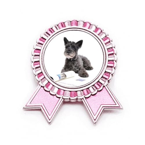 Broche rose photographie animaux de compagnie en métal pour shooting