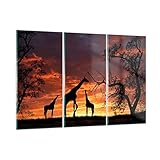 Les tableaux de décoration murale sont une proposition de décorations intemporelles qui arrangeront n'importe quel intérieur et pièce d'un appartement ou d'une maison. Une belle maison, c'est avant tout des tableaux de décoration - nos tableaux s'intégreront parfaitement dans n'importe quelle pièce, mais le plus souvent ils sont choisis comme déco murale de salon, chambre ou cuisine. Dans une maison la décoration murale doit plaire avec un motif et un design modernes.