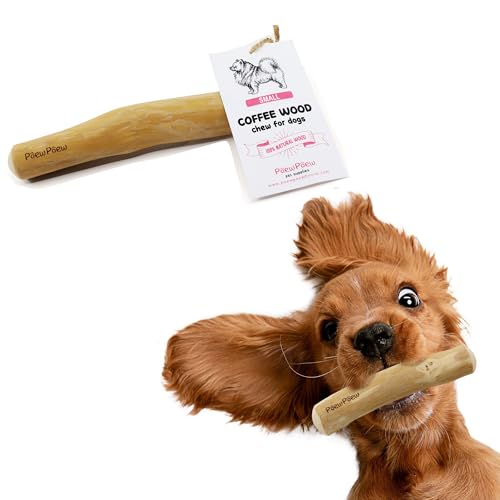 POEWPOEW R[q[EbhhbO`[XeBbN ʏ̊ސlpA100%VR̂ÃN[jO&XgXAI[KjbN()