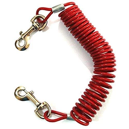 The DDS Store Cable Pet Dog Tie Out Garden Ground Screw Spiral Stake Spike Wire Lead 1 Piece (Color May Vary) (12 FT)