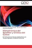 EAE Editorial Academia Espanola