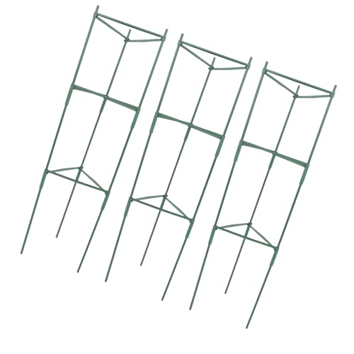 Hohopeti g}gx Ax? ACA vX`bN ό󐫃K[fgX prLEx iX s[} EȖ،op