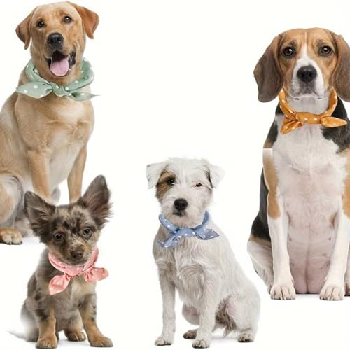 ���p�o���_�i �y�b�g�X�^�C �O�p�X�J�[�t ���킢�� ������� �ȒP�E���� �����\ ���􂢉� ���p��� �O�p�o���_�i �悾�ꂩ�� �y�b�g�O�b�Y �U�� ���o���� ����肪40cm�ȉ� (��)