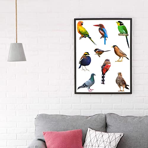 Woyinis XRB02158 Lifelike 3D Birds Wall Stickers Waterproof Vinyl Birds Wall Art Decals Peel & Stick Removable Birds Wall Decal For Kids Bedroom Living Room Windows Office Nursery Home Garden Decorations thumb #6