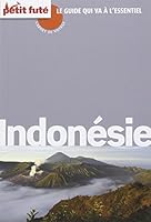 indonesie-carnet voyage petit fute 2014 2746974312 Book Cover