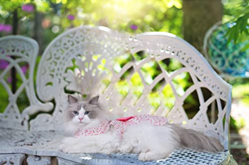 Petroom Elegant Floral Puppy Dog Dress, Sundress Vest Shirt for Small Dogs Cats (Pink,XS) - Image 6