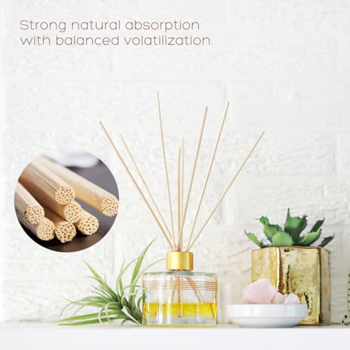 Cabilock Varillas de Ratán para Difusor de Aroma 100 pcs miniatura 4