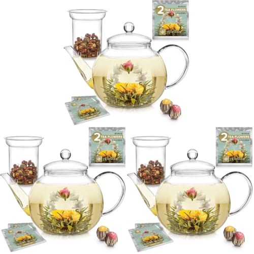 Image of Teabloom Stovetop & Microwave Safe Glass Teapot with Removable Loose Tea Glass Infuser - Includes 2 Blooming Teas - 2-in-1 Tea Kettle and Tea Maker - Tea Purist's Choice (Pack of 3)