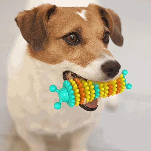 POPETPOP Mordida de Cão Do Animal de Estimação Brinquedos Do Animal de Estimação Brinquedos Squeaky