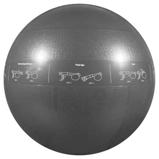GoFit Professional Grade Stability Ball - Home Workout Supplies