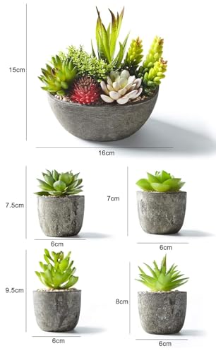 Image of Artificial Plants Set of 5 Artificial Succulents with Pots Colourful and Decorative Fake Succulents with Stones Ideal for Home Office and Outdoor Bathroom Bedroom Decore | Pack of 1