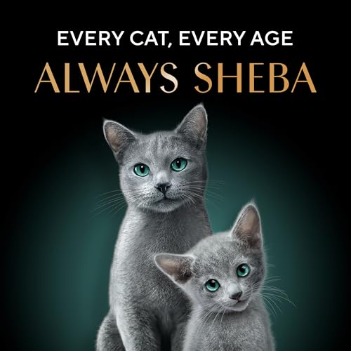 Sheba Kitten & Adult Chicken 1.5kg - View 8