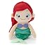 Ariel