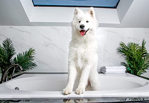 Hartz Grooming Supplies Bundle With Groomer's Best Professionals 6-In-1 Dog Shampoo And Combo Brush For Dogs, Good For All Dogs & Coat Types #TOP6