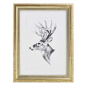 WOLTU Cadre Photo 20×25 cm Cadre en Bois Massif avec Passe Partout, Suspendre Horizontalement ou Verticalement, Décoration Murale ou sur Table, Or