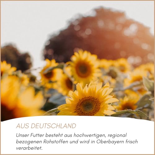 Sonnenblumenkerne geschält Supravit 5kg Beutel für Wildvögel