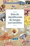 Guía de identificación de hongos con laminillas