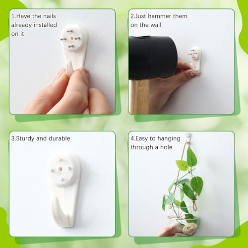 Sunnychicc 6 Pcs Wall Hanging Planter Glass Plant Pot Water Terrarium Containers Wall Vases for Flowers Air Hydroponic Propagation Glass Plant Holder Home Room Window Office(Oblate) — view 3