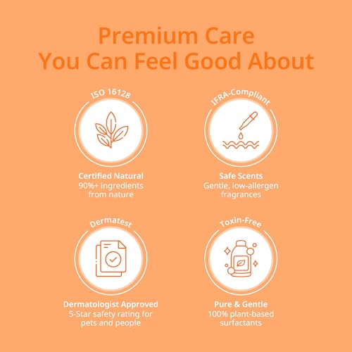 Image of Daily Low-Irritation ODAC Derma Serene pet Shampoo, Korean Pet Skincare, Gentle Daily Cleanse with Winter Cherry Root & Korean Patchouli, Rich Lather, for Dogs & Cats, 10.14 fl oz