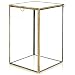 MyGift Clear Glass Plant Terrarium with Brass Metal Frame, Tabletop Curio Case/Shadow Box