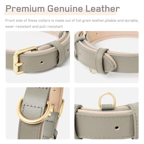 HEELE Soft Leather Dog Collar Breathable Padded with D Ring, New Pad Colour - Image 4