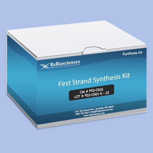 First Strand Synthesis Kit 25 Prep, P02-NIK05-25