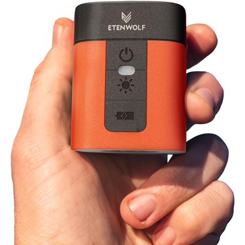 ETENWOLF AIR 3 Air Pump for Inflatables with 2600 mAh Battery & Camping Light, Ultra-Fast and Mini Electric Air Pump, Inflate Deflate for Air Mattress, Pool Floats, Vacuum Storage Bags Vivid