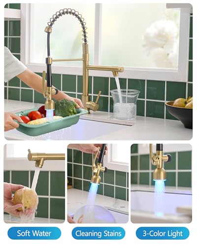 Image of Fapully High Arc Brushed Gold Pull-Down Kitchen Faucet with LED Sprayer
