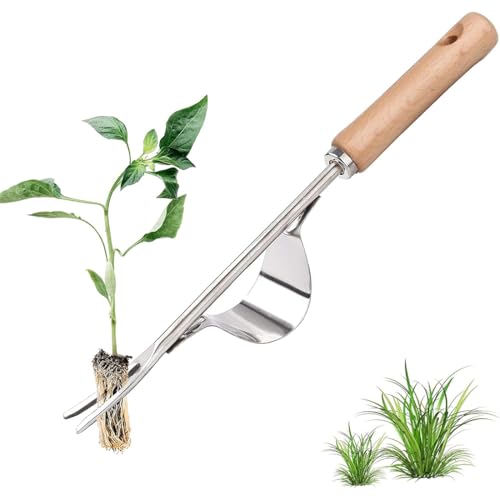 Estirpatore Erbacce Manuale Con Manico In Gomma, Attrezzi Da Giardino, Strumento Rimozione Erbacce Acciaio Inox, Giardinaggio Attrezzi Da Giardino Per Rimuovere Togli Erbacce Da Giardino