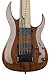 B.C. Rich Shredzilla Prophecy 8 Archtop 8-string Electric Guitar with EverTune - English Walnut