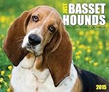 Just Basset Hounds 2015 Box Calendar
