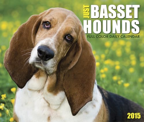 Just Basset Hounds 2015 Box Calendar