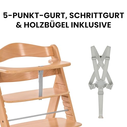 hauck Alpha+, Natur - Mitwachsender Holzhochstuhl aus Buche für Kinder ab 6 Monaten bis 90 kg - Inklusive 5 Punkt Gurt, Schrittgurt, Schutzbügel - Kompatibel mit viel Zubehör