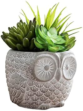 "FAVRD" Artificial Succulents in Cement Pot Environmentally Conscious Partly Recycled Fake Plants Artificial Plants Indoor Home Office Decor Desk Faux Plants, 6.25 x 6.25 x 8 inches